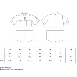 Camisa